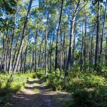 De Charme Entre Pins,golf Et Ocean